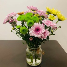 Daisy hoa tươi cắt hoa trộn màu sắc miễn phí vận chuyển bán buôn một thế hệ các cơ sở hoa mỡ tại Côn Minh, Vân Nam Hoa và hoa