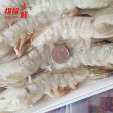 Đặc sản Sơn Đông shrimp tôm tươi cực lớn đánh bắt tôm tươi sống bán trực tiếp Thanh Đảo đặc sản tôm hải sản tùy chỉnh Tôm