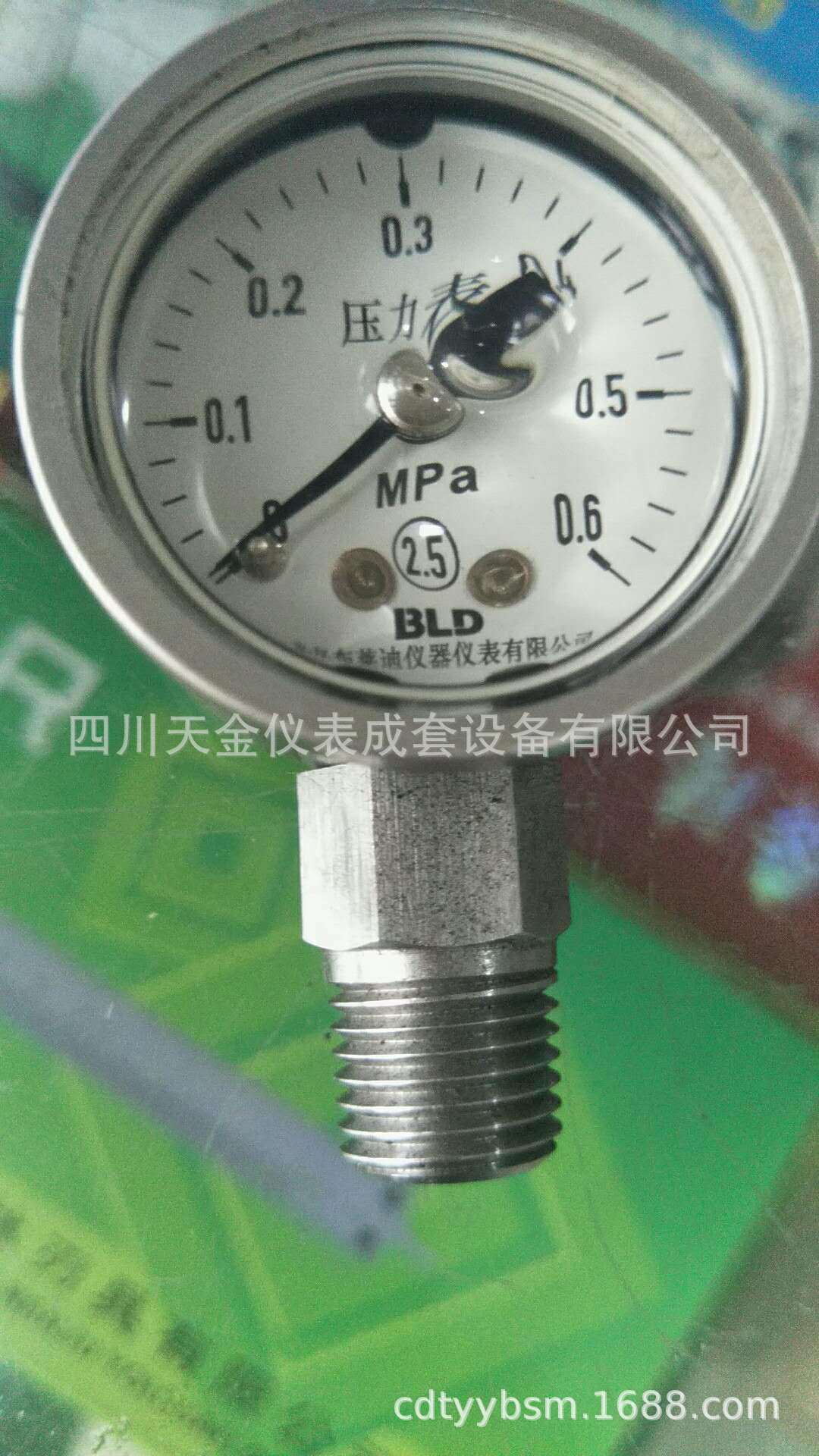 北京布莱迪不锈钢压力表YTN40BF YN40BF