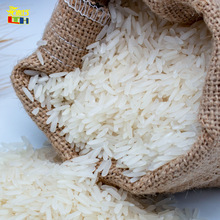Thái Lan Jintai Cup gạo thơm 500g cài đặt mẫu Một pound bao bì chân không Nhà máy sản xuất gạo trực tiếp bán buôn Gạo