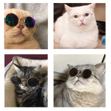 Pet kính mèo kính chó thời trang vật nuôi sáng tạo lạ mới vui kính mát mèo chỗ bán buôn Trang phục mèo
