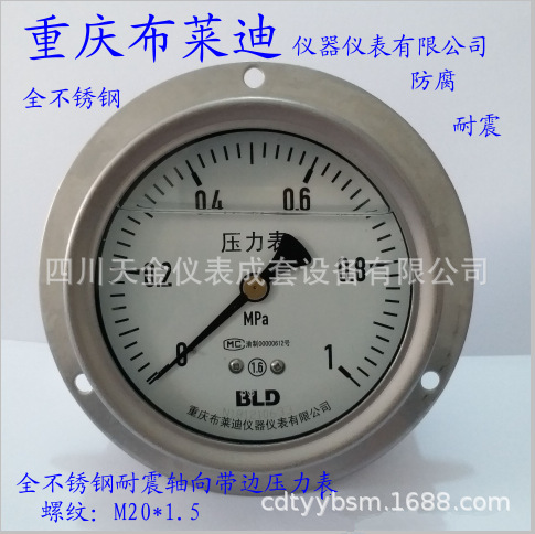 重庆布莱迪仪器仪表有限公司YTN100HZT不锈钢耐震压力表M20*1.5
