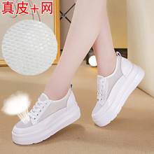 Giày đế dày màu trắng nữ 2019 mùa thu mới tăng da bán buôn giày nữ phiên bản Hàn Quốc của giày đế bệt thoáng khí hoang dã Giày cao