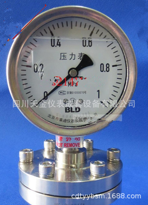 不锈钢耐震隔膜压力表YTHN-100MFB3+316L/HC，0~1MPa