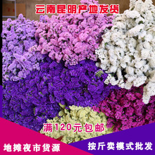 Đi lang thang một người bán hàng rong hoa tươi hoa khô tự nhiên hoa Vân Nam khô quên-me-bán buôn cung cấp hoa bán trên bảng Hoa khô hay