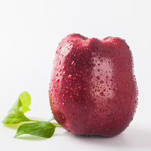 Tianshuihua gia súc táo tươi rắn đỏ trong nước mặt trái cây bột cào bùn mặt táo thực phẩm bổ sung một thế hệ Táo