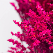 Côn Minh hoa lấp lánh mẻ nhuộm nhiều màu màu sắc tinh thể pha lê cỏ khô hoa khô bó Dou cơ sở Hoa khô hay