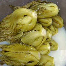 Liễu Châu đặc sản mù tạt xanh cải bắp dưa cải bắp 500 g một túi dưa cải muối ngâm cá thành phần giòn và ngon Hàng khô chọn