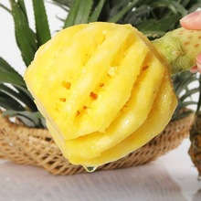 [Alipay] Sản phẩm mới tại Quảng Tây trồng hoa quả dứa Thái tươi bán buôn một thế hệ Dứa dứa