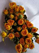 Vân Nam Bulls Rose Rose hoa khô làm khô hoa khô hoa bó hoa hồng bán buôn cục Sen DIY đạo cụ chụp Hoa khô hay
