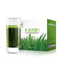 Bột lúa mạch lá xanh lúa mạch 90g đóng gói phổ biến chế biến nước ép xanh OEM OEM tùy chỉnh Pha chế đồ uống