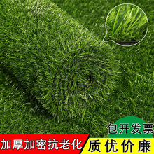 Nhựa giả cỏ nhân tạo thảm cỏ nhân tạo dự án mẫu giáo cỏ ngoài trời trang trí đám cưới Sân cỏ nhân tạo
