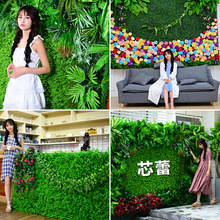 Nhà máy mô phỏng tường nền mã hóa nhựa cỏ xanh cây cửa tường cửa hàng tuyển dụng trang trí nhân tạo hoa tường Sân cỏ nhân tạo