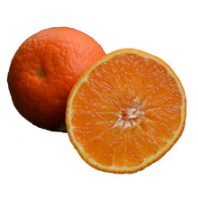 Tứ Xuyên Qingjian Citrus 10 kg trái cây theo mùa cam tươi không xấu xí cam xấu xí tám mùa xuân thấy ponkan Trái cây chọn