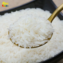 Gạo thơm Jintai gạo nhập khẩu gạo thơm Thái Lan Bán buôn Đóng gói chân không một thế hệ chế biến OEM 1kg Gạo