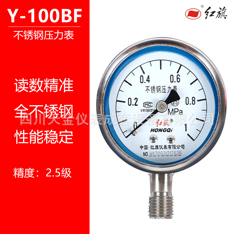 红旗不锈钢压力表Y-100BF耐高温氧气表径向全规格0~60MPA禁油表
