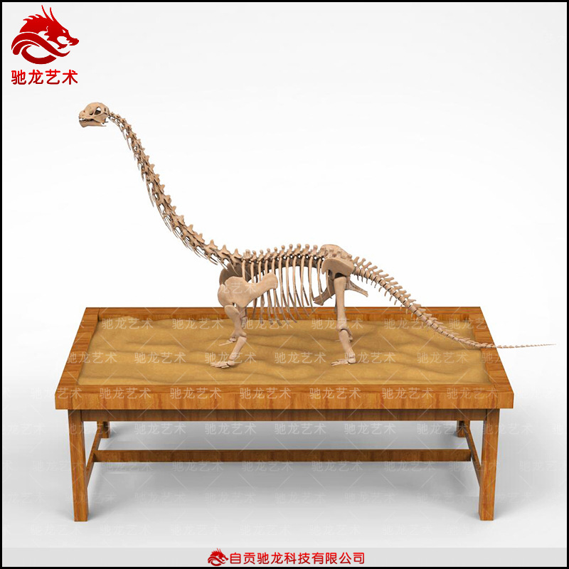 恐龙发掘考古骨架厂家儿童乐园考古卓恐龙化石骨架模型售卖公司