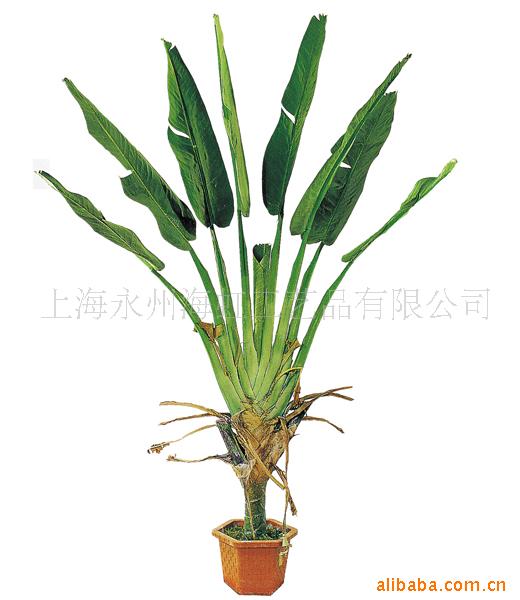 【上海海虹专业生产高品质人造植物,仿真景观
