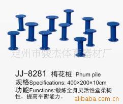 生产销售 梅花桩优质健身路径 提供路径加工