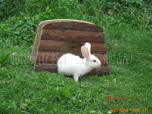 Cung cấp vật nuôi bằng gỗ - cung cấp thỏ, tổ thú cưng, vật nuôi Hamster, thỏ, chim