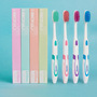 Hao Niu toothbrush net contribution independent color boxed dollar store supermarket wholesale adult toothbrush soft hair wholesale