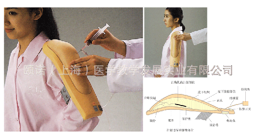 電子上臂肌肉注射訓練模型