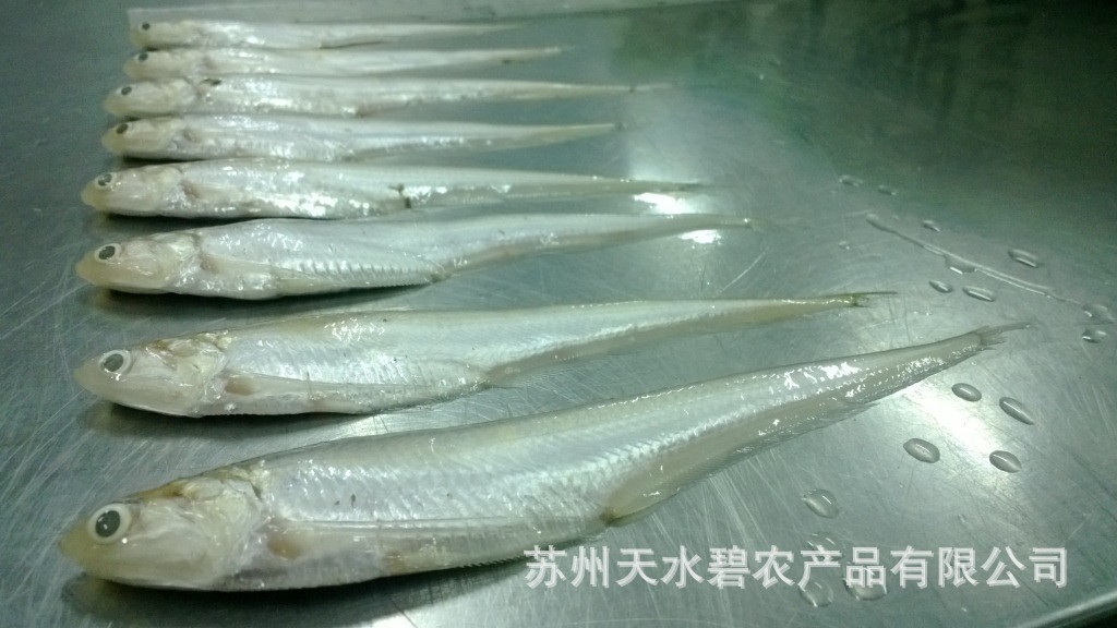 太湖特產 鮮汁太湖鳳尾魚(毛刀魚) 速凍,生制(可禮盒裝)