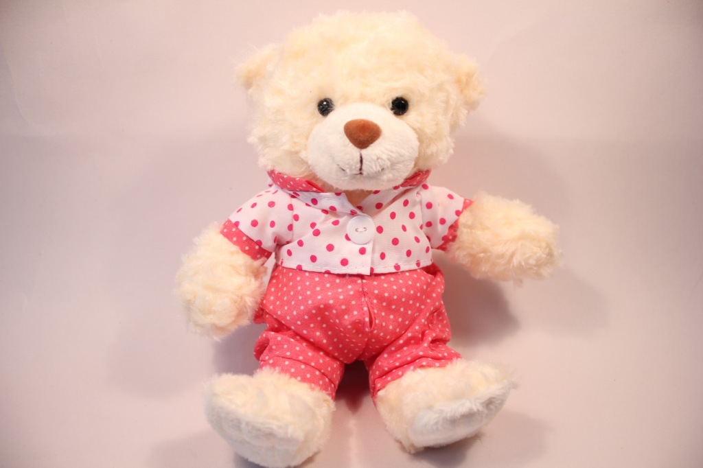 厂家直销 可零售 毛绒玩具 粉色衣服泰迪熊 录音玩具公仔 