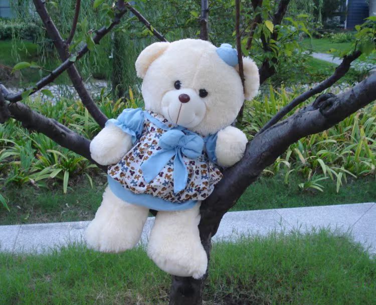 毛绒玩具批发新款宝贝熊泰迪熊穿衣熊花裙熊公仔情人节生日礼物