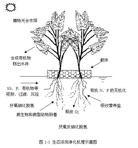 梭鱼草手绘图片