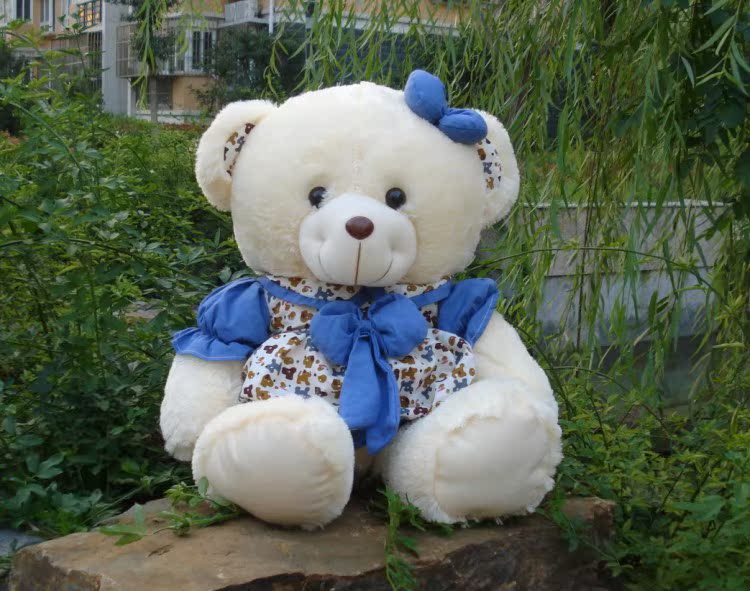 毛绒玩具批发新款宝贝熊泰迪熊穿衣熊花裙熊公仔情人节生日礼物