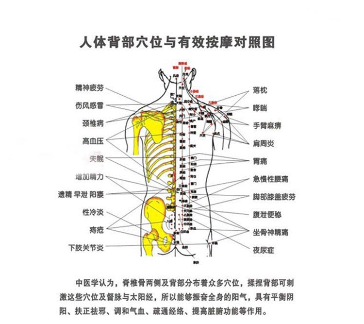 精心設計的按摩頭呈現雙峰大小排列,吻合人體曲線,按摩範圍更大,更