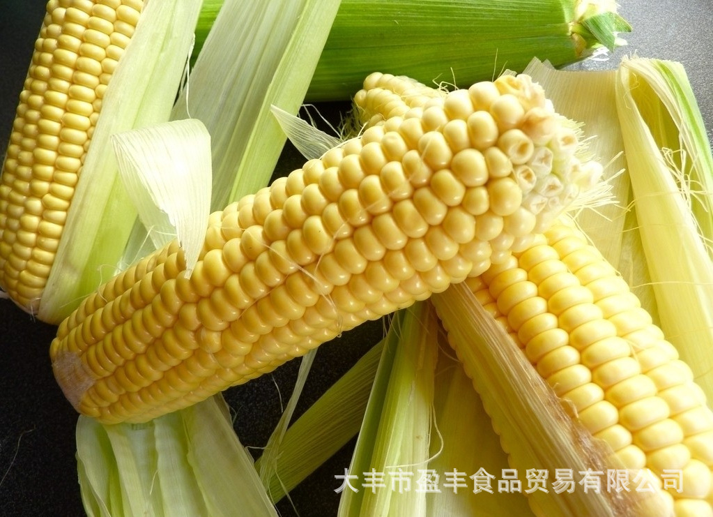 大丰1407玉米种子简介图片