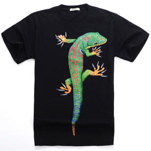 蜥蜴logo的衣服图片