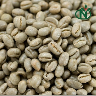 bero 哥斯达黎加 庄园精品咖啡生豆 shb 精选 小圆豆 小粒 5kg