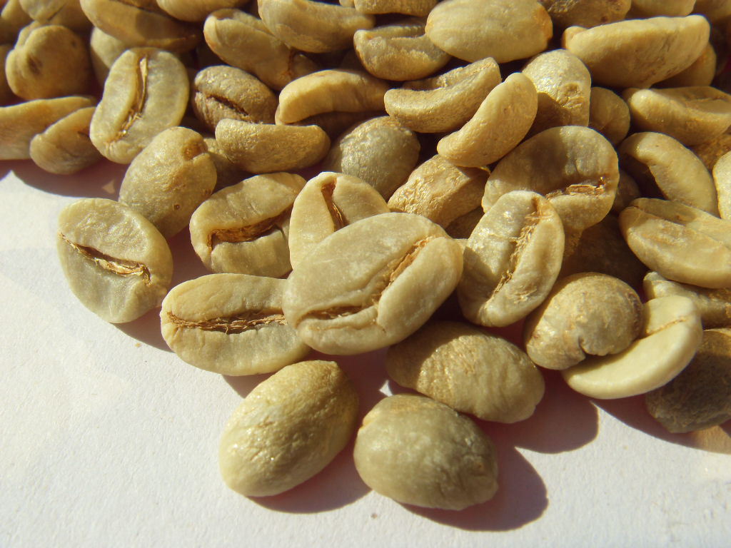优质进口生豆,原产地巴西 巴西咖啡生豆,巴西豆48元/公斤
