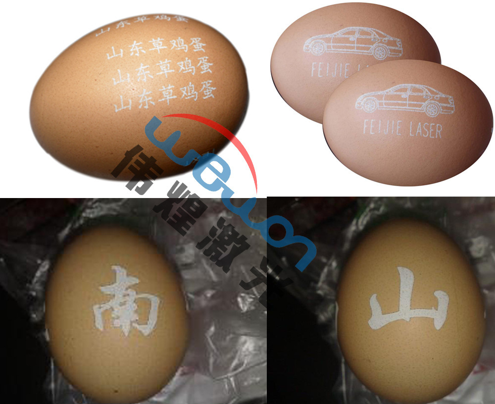 鸡蛋商标图案大全大图_鸡蛋标志图片_