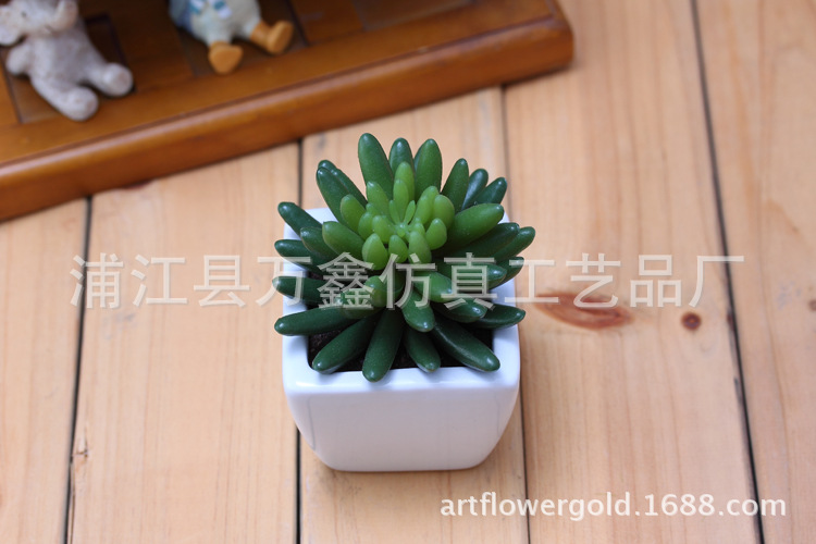 手指植物工艺品图片