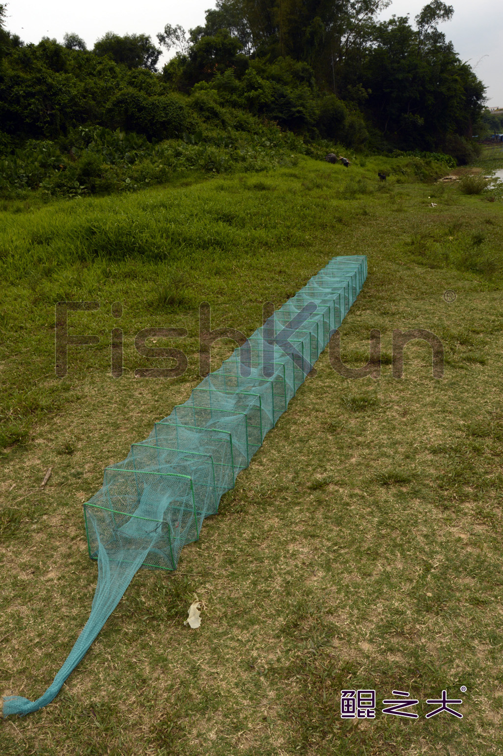 鯤之大專業捕蝦蝦籠地籠方形長條蝦籠超長地籠魚蝦蟹水魚通殺17卡