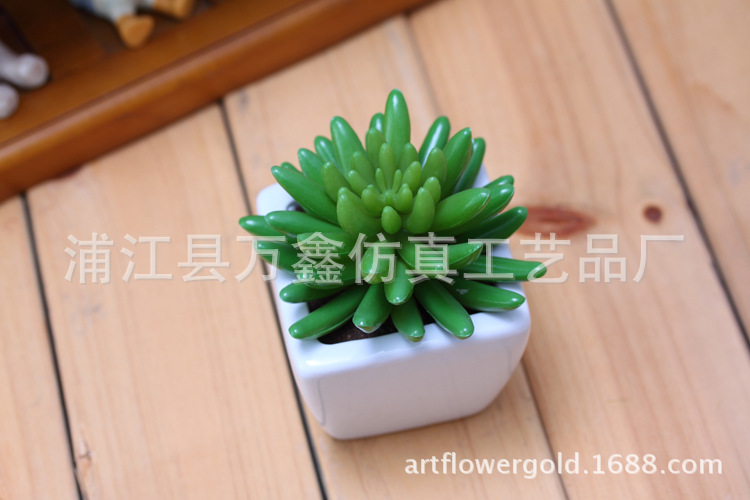 手指植物工艺品图片