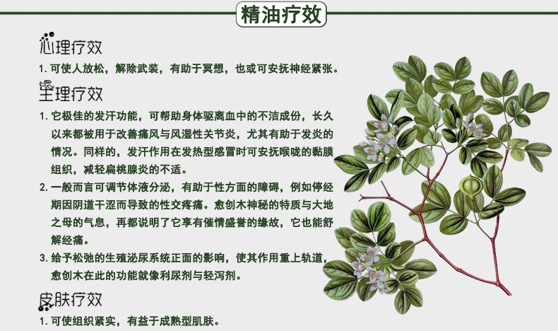 愈创木guaiacwood 消炎抗风湿 收敛 具疗效的香脂 促发汗 泥土味