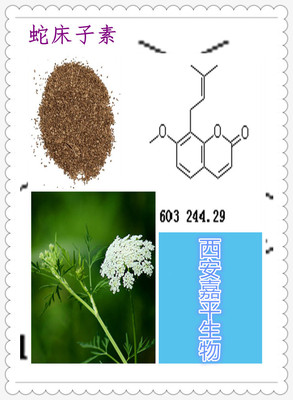 【行業推薦】廠家批發蛇床子素-蛇床子提取物-西安嘉平在線供應