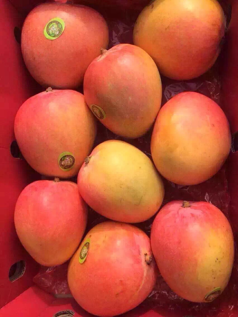 经销批发 澳芒18斤箱装澳洲新鲜芒果 澳大利亚进口水果 浓香巨甜