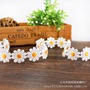 Explosive small daisy lace embroidery water soluble lace women's DIY clothing accessories handmade small flowers
