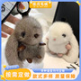 Mink Doll Cute Internet Celebrant Rabbit Hanging Bag Doll Fur High-end Car Keychain Bag Pendant