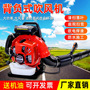 XL EB650 Gasoline Hair Dryer Wind Extinguisher Back Portable Greenhouse Snow Blower Road Sweeper