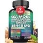 Cross-border hot source manufacturer Sea Moss capsule/South Africa drunk eggplant capsule/seaweed capsule